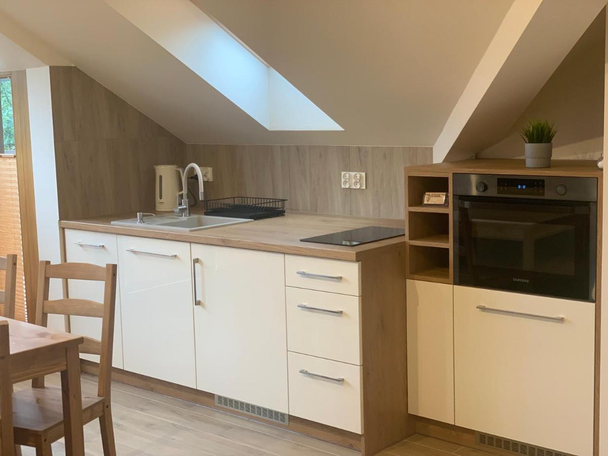 Apartament Młynek Parkowa Zakopane Zewnętrze zdjęcie