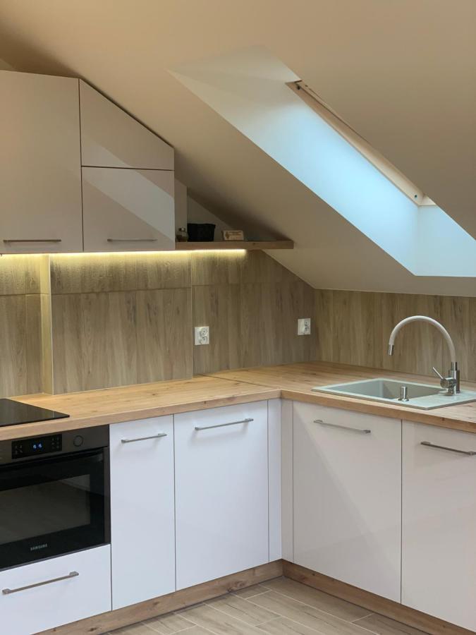 Apartament Młynek Parkowa Zakopane Zewnętrze zdjęcie
